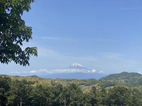 富士山 富士山の写真