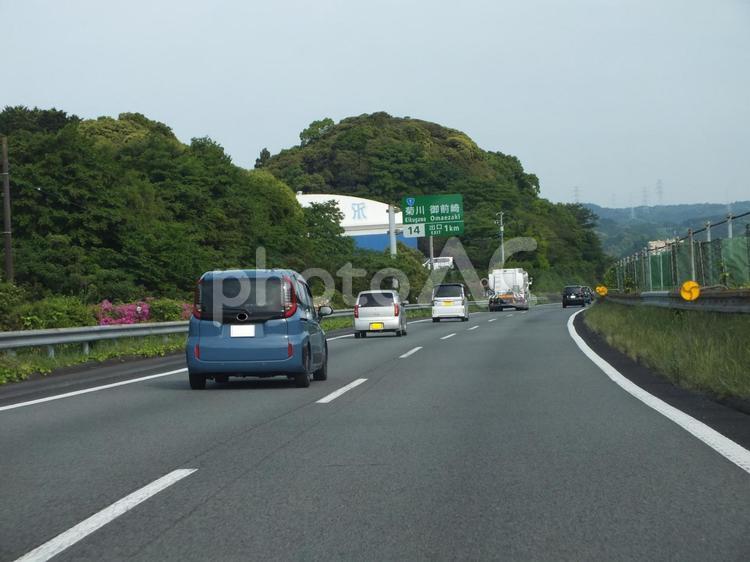 ピンクのつつじ並木も見える春の高速道路 ツツジ,並木,街路樹の写真素材