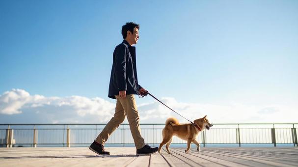 犬の散歩 男性2 犬の散歩 男性2の写真