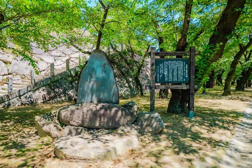 Photo, iwate, morioka, 2025, 