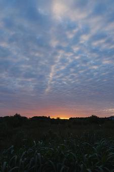 秋の朝焼けの空 秋の朝焼けの空 朝焼け,空,雲の写真素材