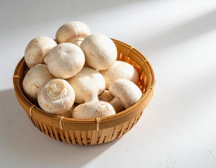 秋の味覚 マッシュルーム ざる入 白背景 秋の味覚 マッシュルーム ざる入 白背景の写真