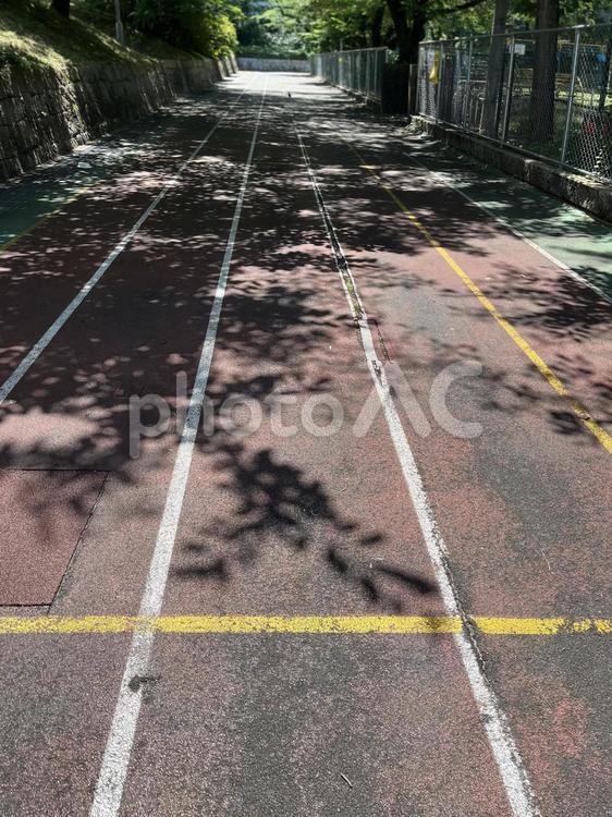 木陰のコース 道,外,影の写真素材