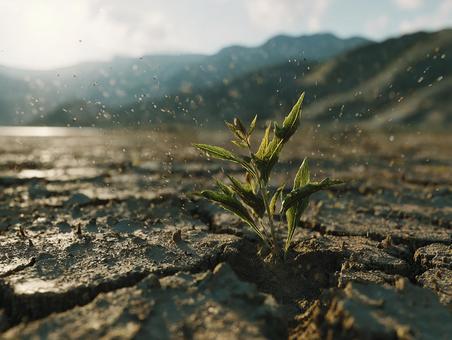 困難な大地から芽吹く希望の光 困難な大地から芽吹く希望の光の写真