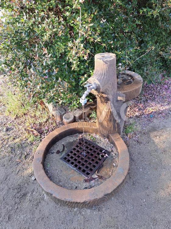 公園の水場・手洗い・水飲み場 水場,水飲み場,手洗いの写真素材