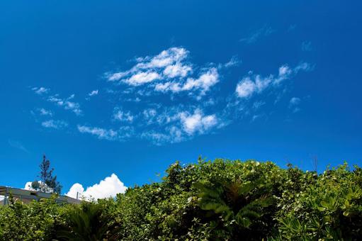 夏を感じる沖縄の青空と晴れた日 青空,沖縄,空の写真素材