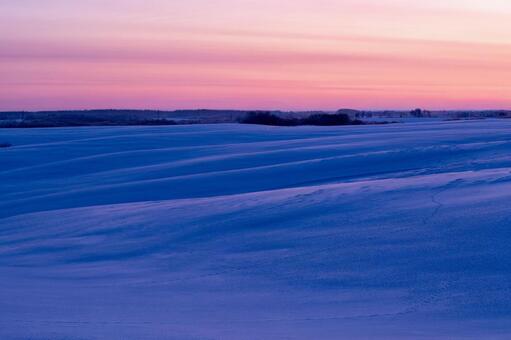 夜明け前の雪原と地平線 雪原,夜明け前,冬の大地の写真素材