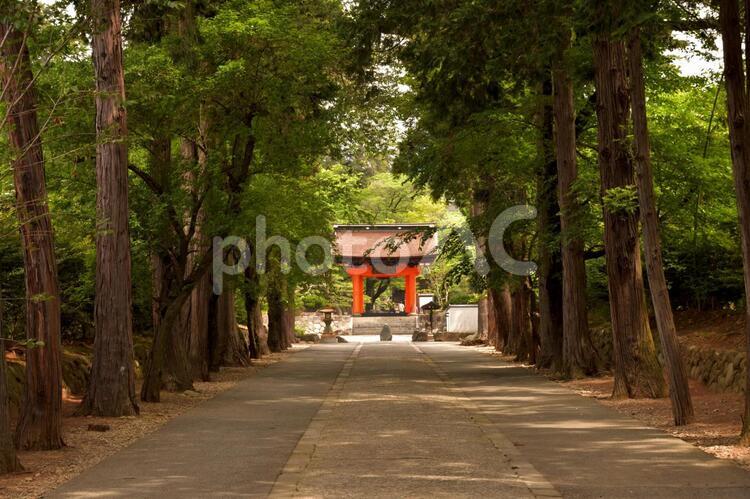 山梨県甲州市　恵林寺 恵林寺,山梨,甲州市の写真素材
