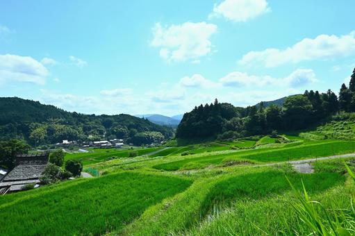 青空と美しい棚田の風景 青空と美しい棚田の風景の写真