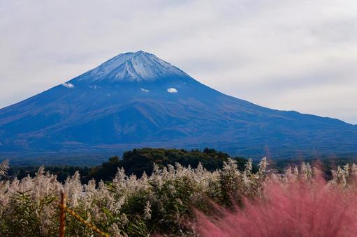 日本一の山　富士山 富士山,山梨県,日本一の山の写真素材