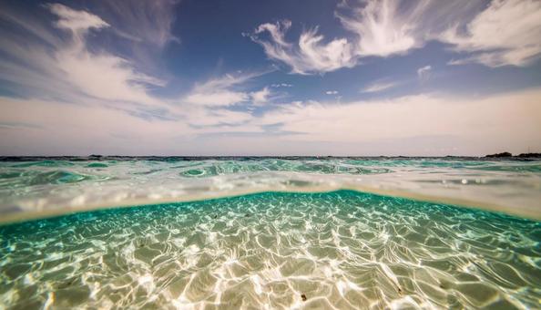 水面越しの夏空 水面越しの夏空の写真