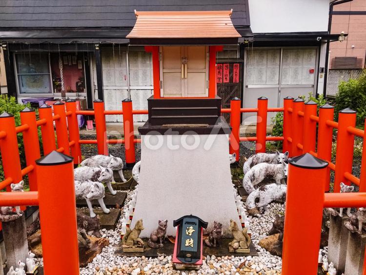 縁切り稲荷 牛久成田山,真浄寺,縁切り稲荷の写真素材