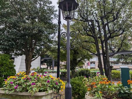 街灯とプランターの花 街灯とプランターの花の写真