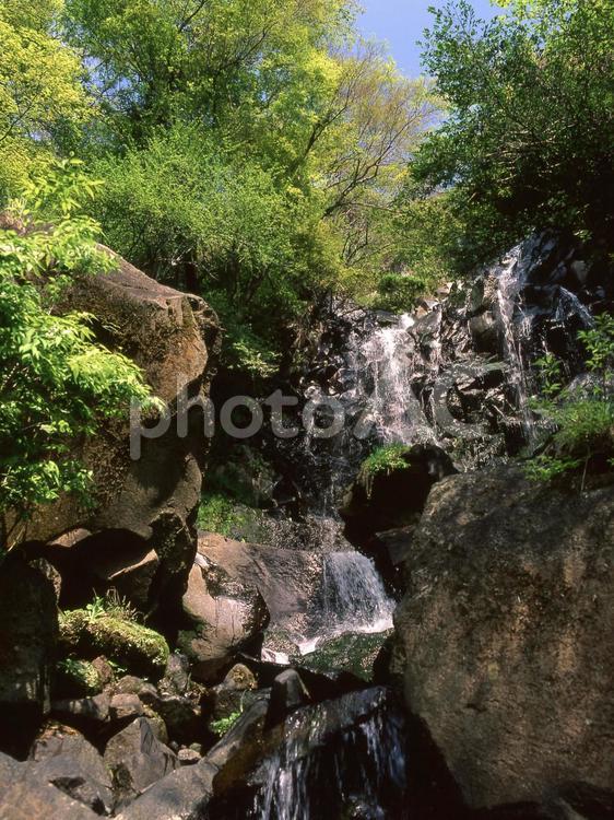 箱根旧道の飛龍の滝2 滝,川,水の写真素材