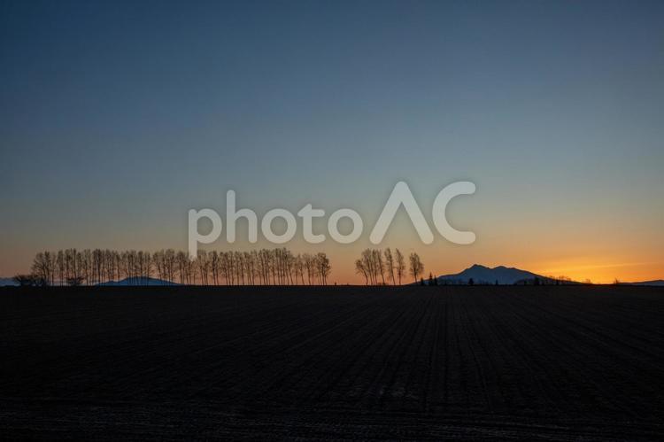 朝焼けの斜里岳と並木 丘,光,北海道の写真素材
