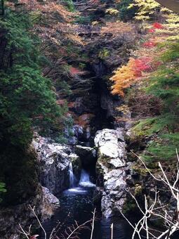 紅葉と滝 紅葉,滝,滝壺の写真素材