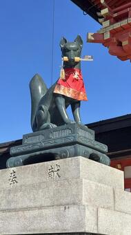 五穀豊穣を願う、稲荷の神使 伏見稲荷大社,稲荷,狐の写真素材