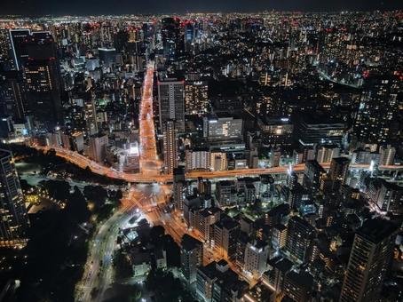 東京の夜景 東京の夜景の写真