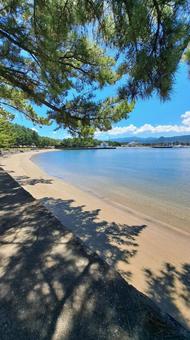 夏の小戸公園 今津湾 夏の小戸公園 今津湾の写真