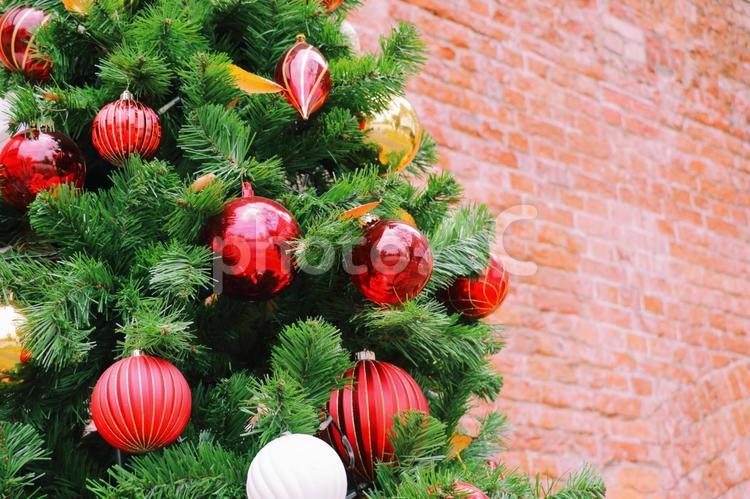 華やかなクリスマスツリー クリスマス,冬,モミの木の写真素材