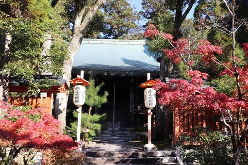赤山禅院　本殿 赤山禅院,本殿,せきざんぜんいんの写真素材