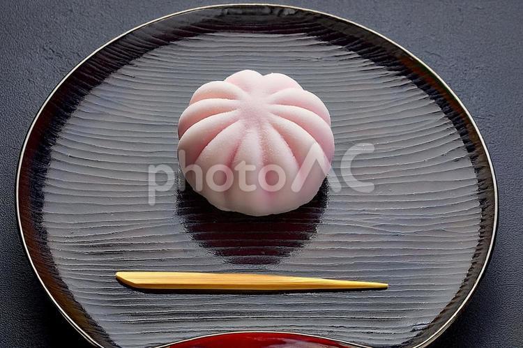 お盆にのせた和菓子（春） 和菓子,菓子,和の写真素材