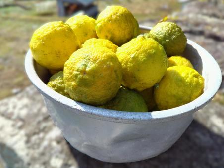 もぎたて柚子 Bの写真