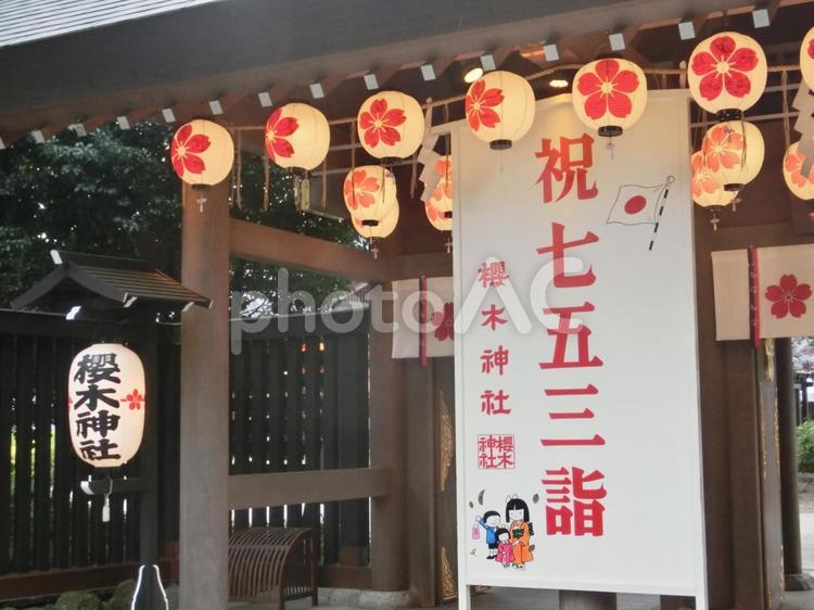 櫻木神社の風景-35 櫻木神社,千葉県野田市,参道の写真素材
