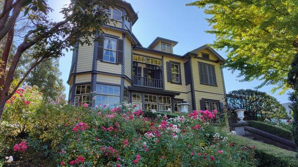 薔薇と洋館 薔薇,バラ,ローズの写真素材