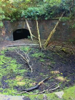 友ヶ島 第三砲台跡 友ヶ島,第三砲台跡,砲台跡の写真素材