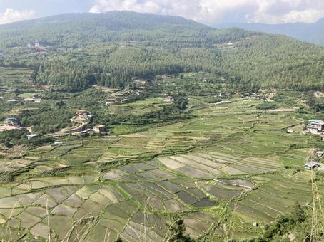 パロの棚田 棚田,田んぼ,田舎の写真素材