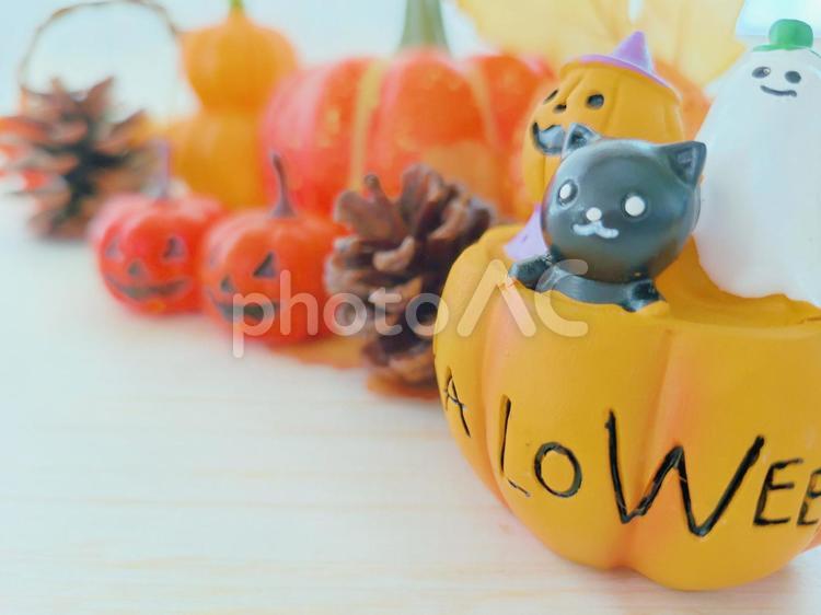 ハロウィンイメージ ハロウィーン,黒猫,おばけカボチャの写真素材