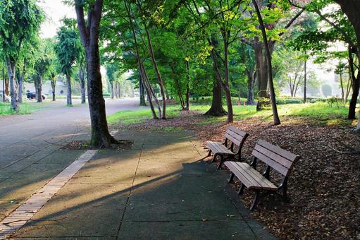 夏の公園にて 夏の公園にての写真
