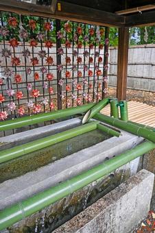 大阪・三島郡 水無瀬神宮 手水舎 大阪・三島郡 水無瀬神宮 手水舎 水無瀬神宮,離宮の水,手水舎の写真素材