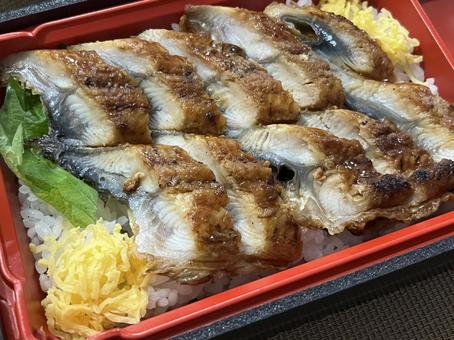 Photo, eel, no more, eel heavy, 