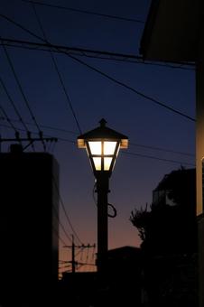 夕方の街灯 夕方の街灯の写真