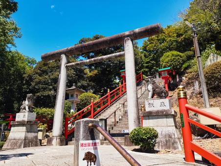 織姫神社石段中腹 織姫神社石段中腹 織姫神社,神社,鳥居の写真素材