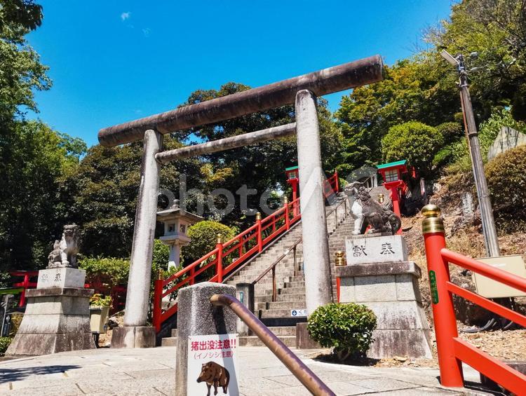 織姫神社石段中腹 織姫神社,神社,鳥居の写真素材