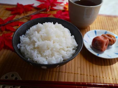 Photo, white rice, rice, new rice, 