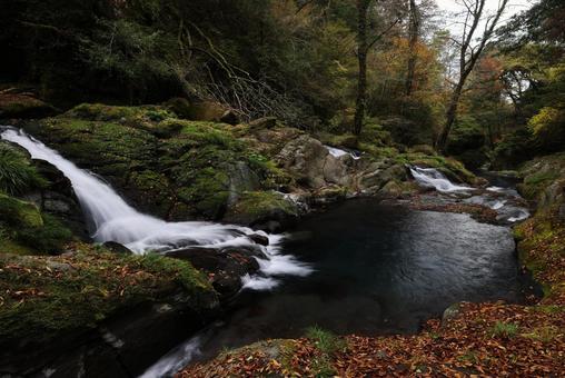 菊池渓谷 菊池渓谷,熊本県,渓流の写真素材