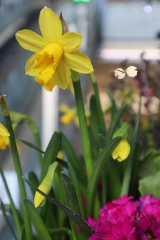 綺麗な心の写真