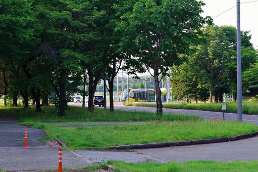 宇野宮ライトラインの走る夏の清原中央通り 清原中央通り,宇都宮ライトライン,ライトレールの写真素材