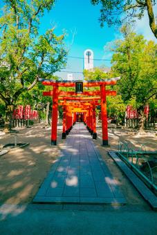 【兵庫】湊川神社 兵庫,神戸,湊川神社の写真素材