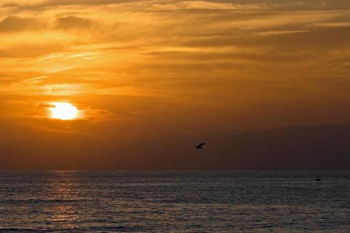 夕暮れ時の湘南の海と鳥 夕暮れ時の湘南の海と鳥の写真