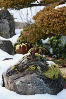 雪が降った田舎の風景。庭の石。 雪が降った田舎の風景。庭の石。の写真