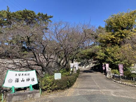 久留米城跡・篠山神社 久留米城,篠山神社,福岡県久留米市の写真素材