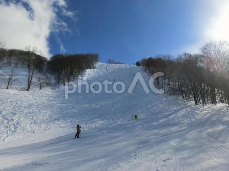 白馬五竜・Hakuba47スキー場の風景 スキー場,冬,雪の写真素材