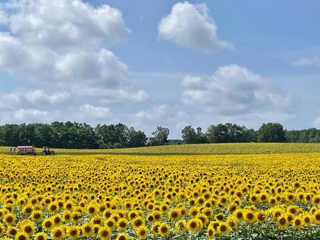 Photo, hokkaido, hokuryu, attractions, 