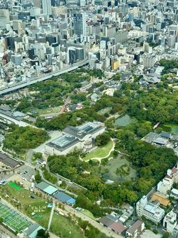あべのハルカスからの景色 あべのハルカスからの景色の写真