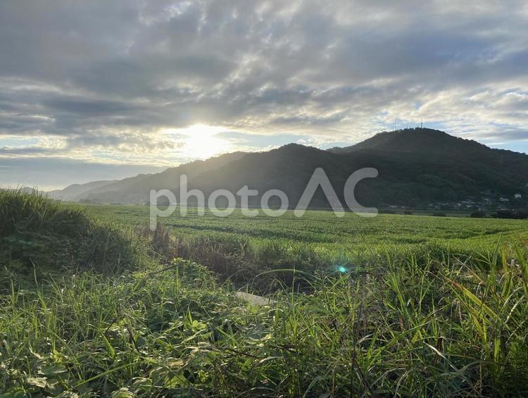 田舎の風景 笠岡,日の出,夏の写真素材